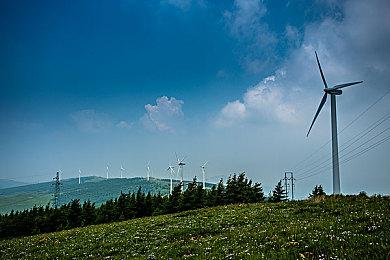 《最终幻想14》国际服15联动活动回归 4人轿车坐骑